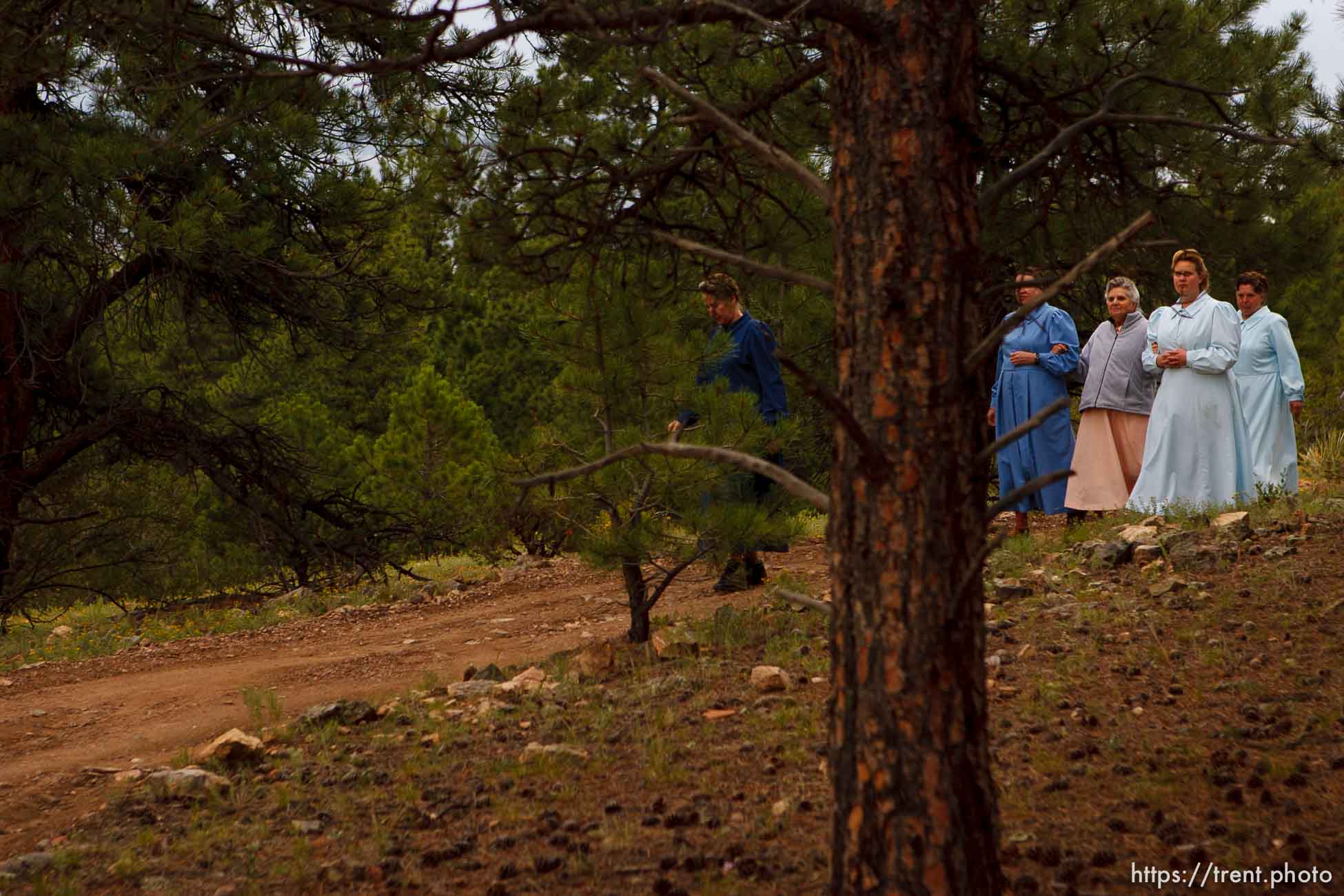 Canon EOS-1D Mark II N