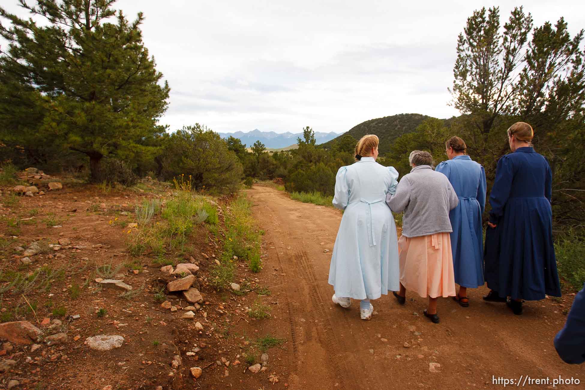 Canon EOS-1D Mark II N