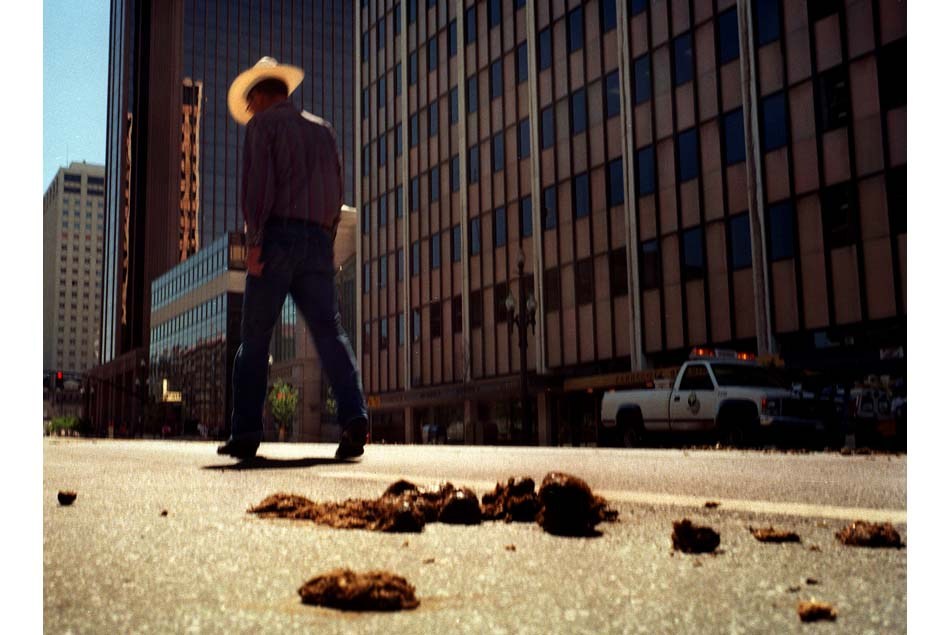 The Salt Lake Tribune