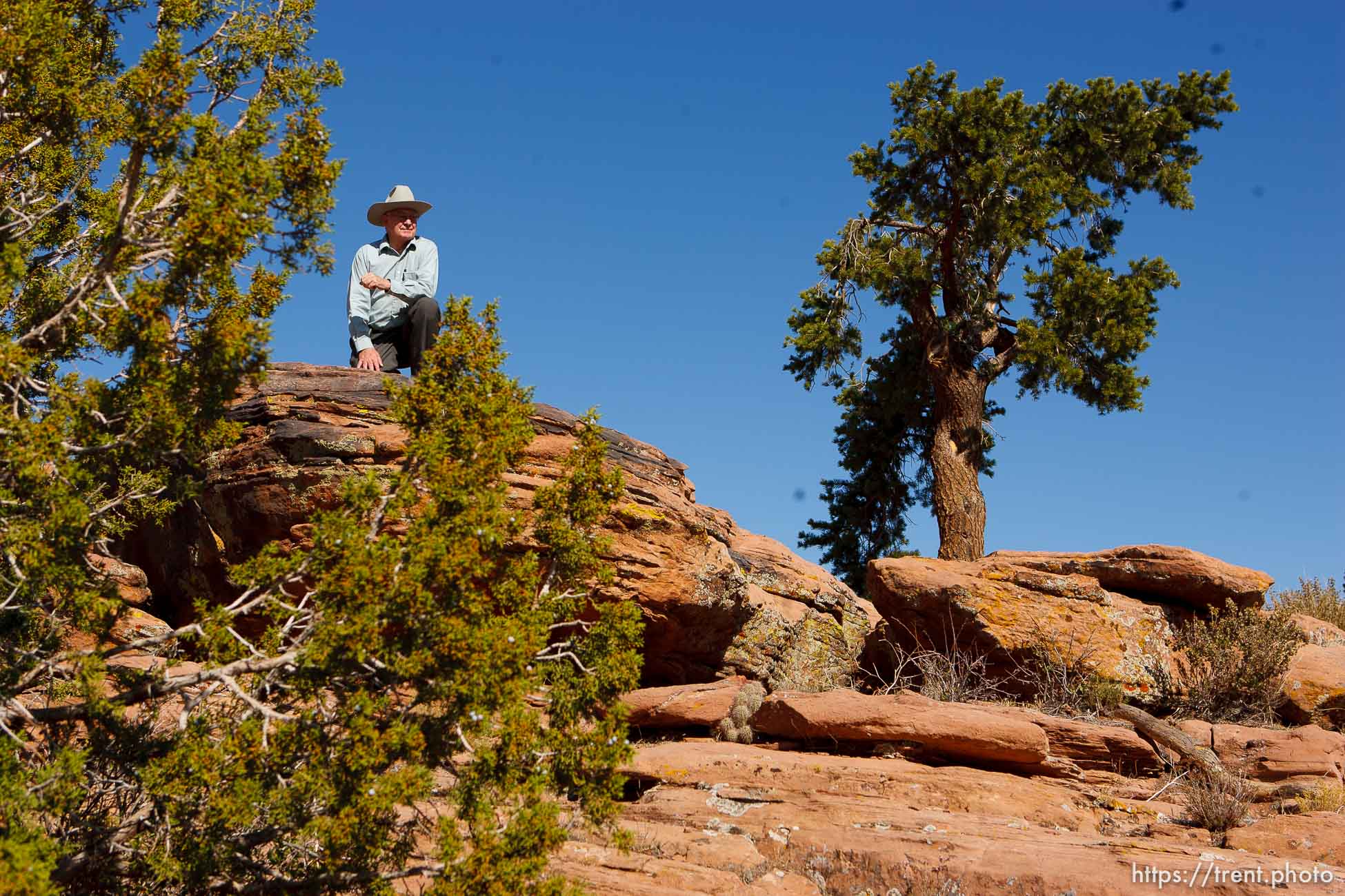 Polygamy in the American West