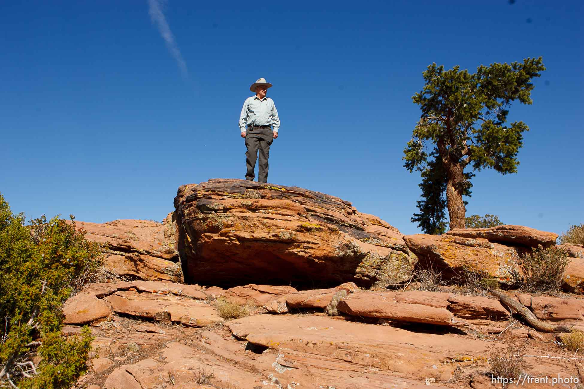 Polygamy in the American West
