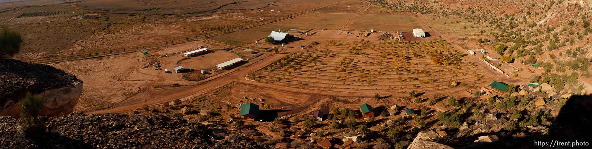 Polygamy in the American West