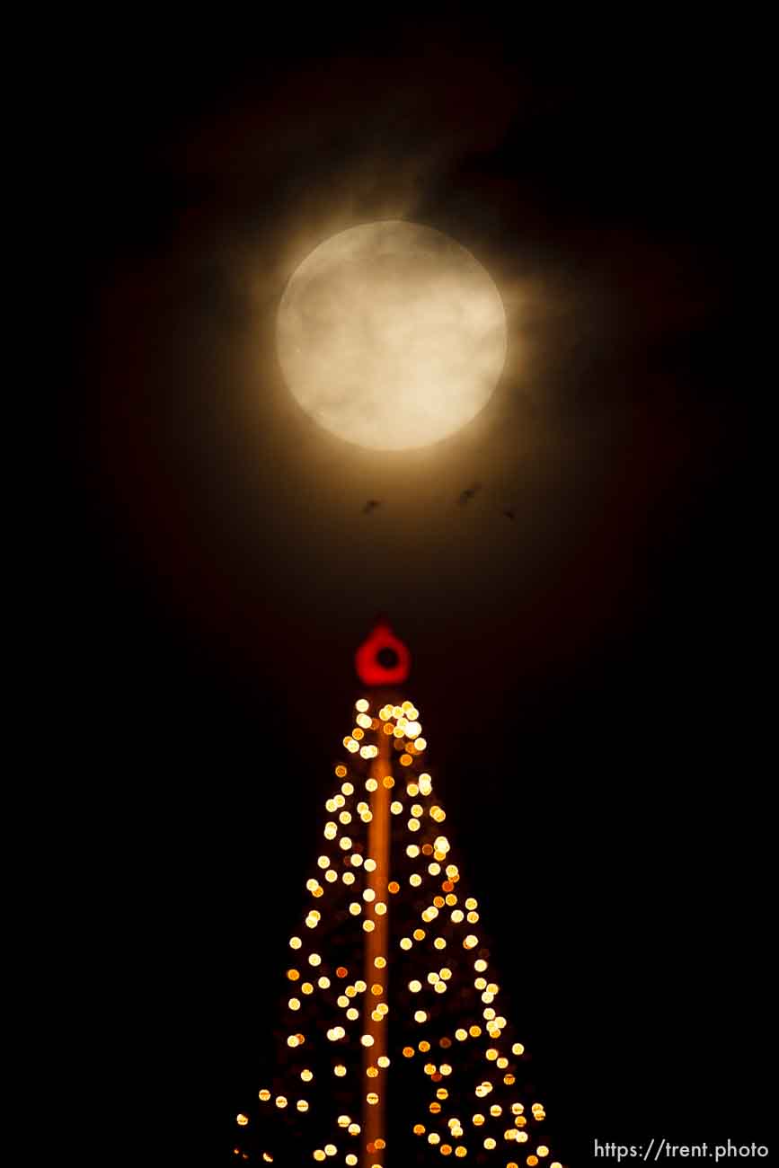 Canon EOS-1D Mark II N