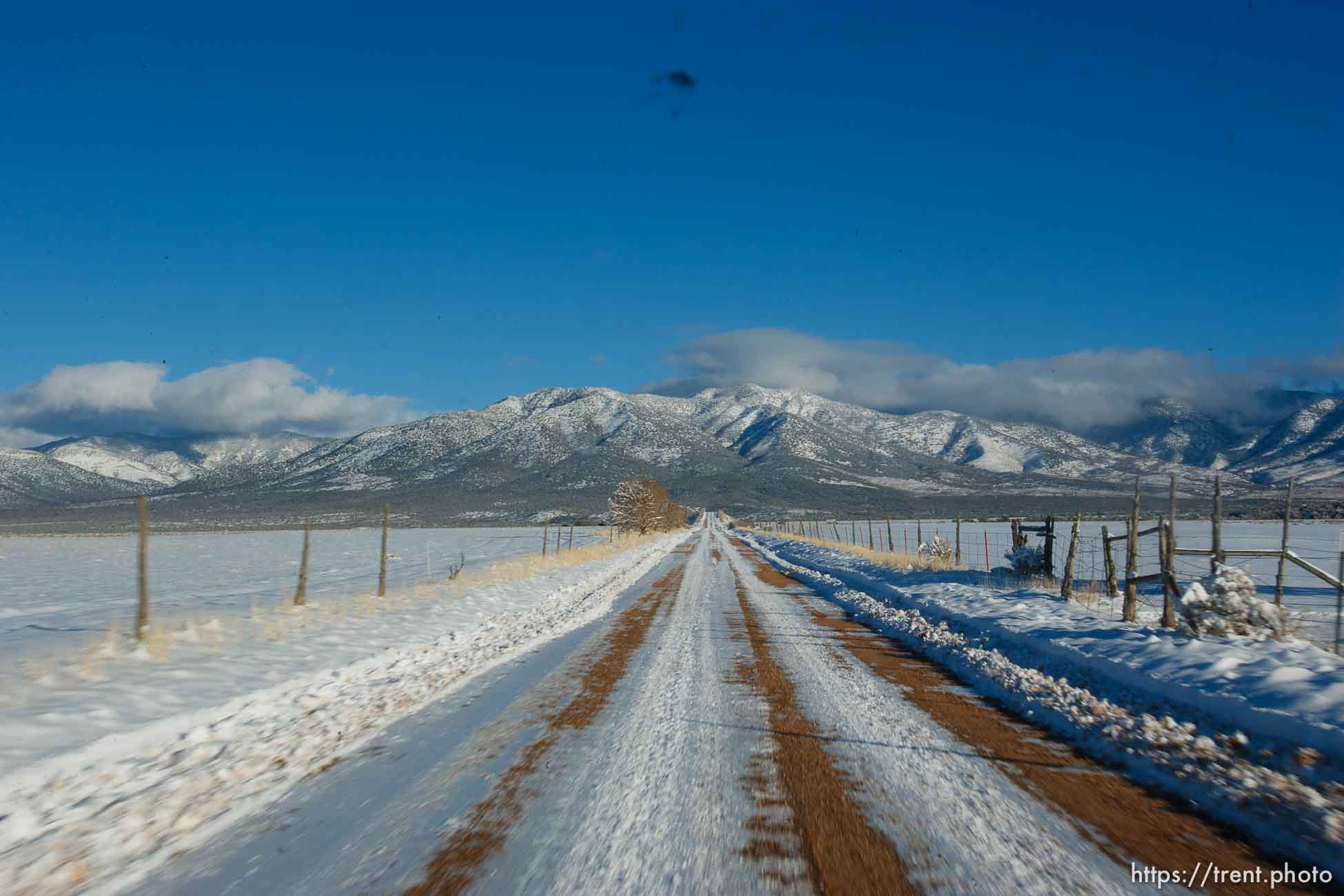 Canon EOS-1D Mark II N