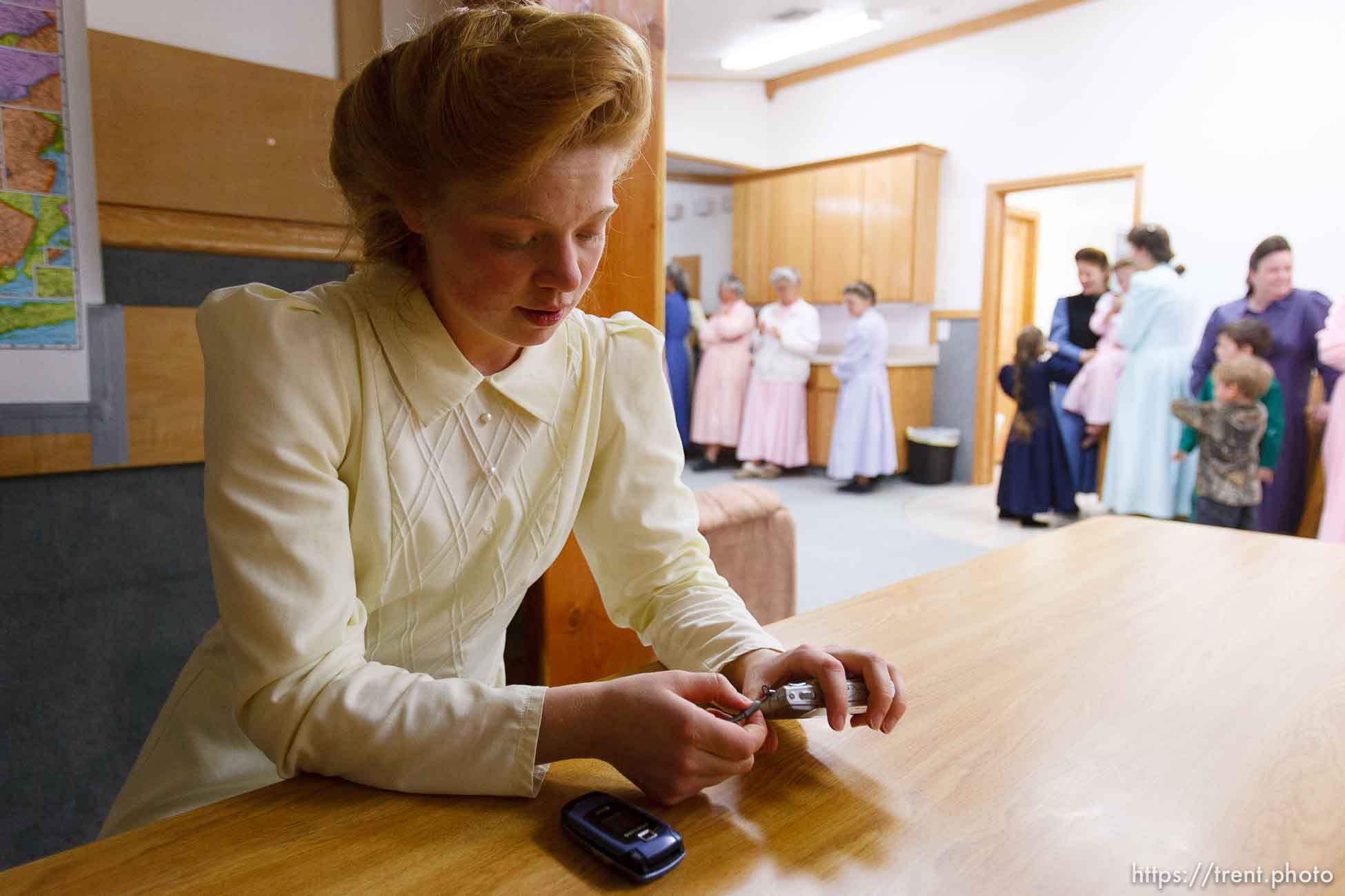 Polygamy in the American West