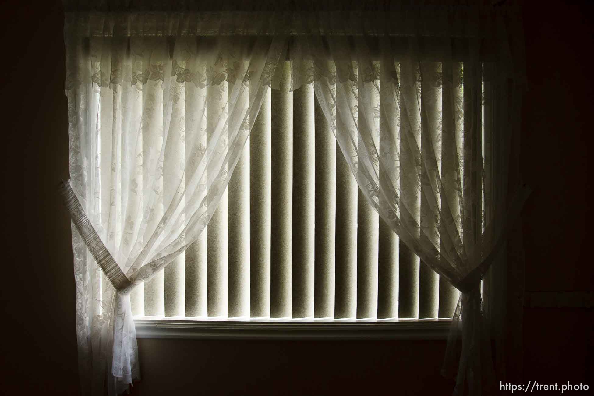 Polygamy in the American West