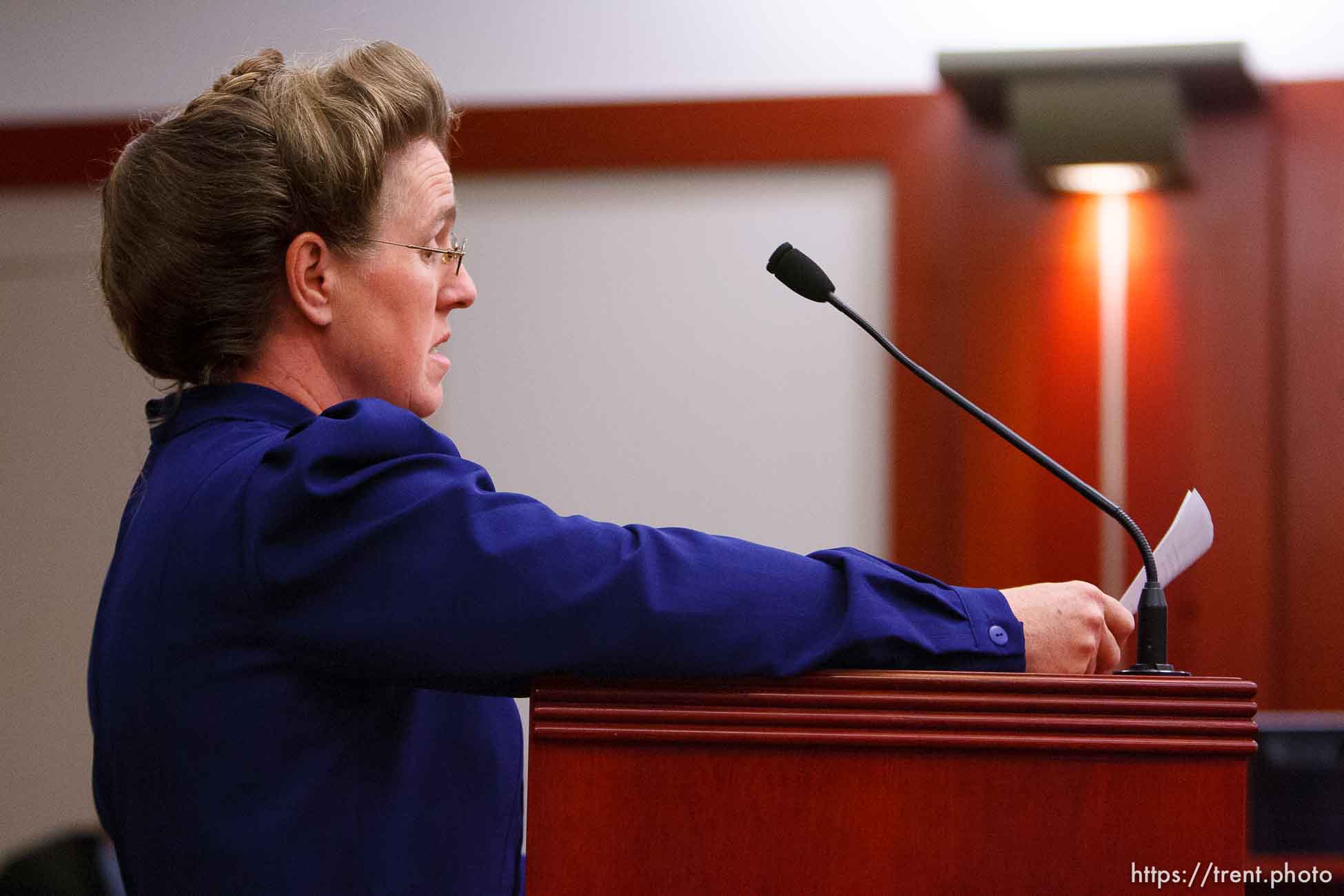 Canon EOS-1D Mark II N