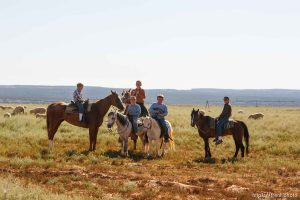 Colorado City -, Tuesday August 11, 2009.
boys on horses with sheep. they yelled 