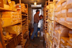 Hildale -, Tuesday August 11, 2009. finney farms. winford barlow in cheese cold storage