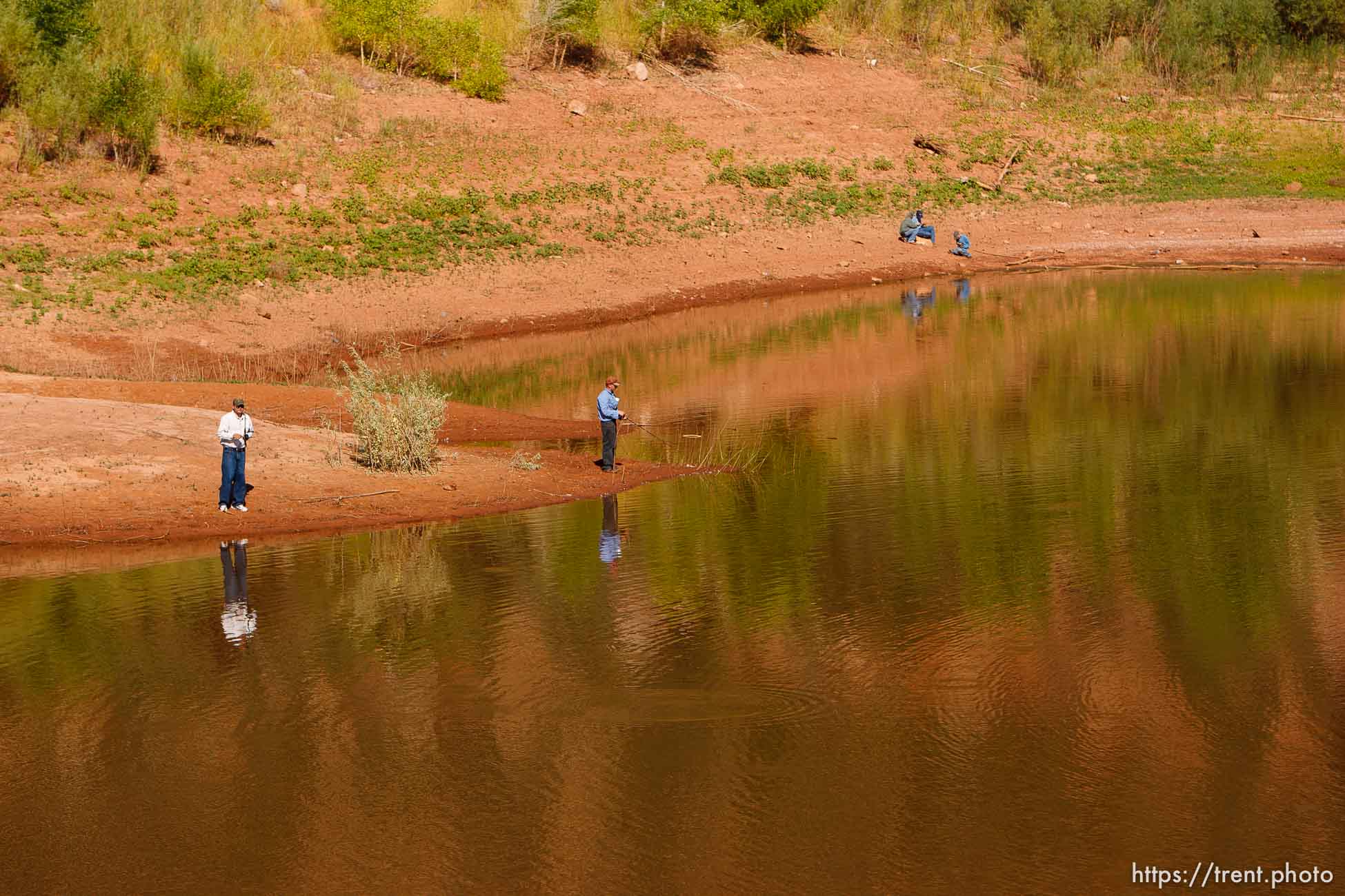 Polygamy in the American West