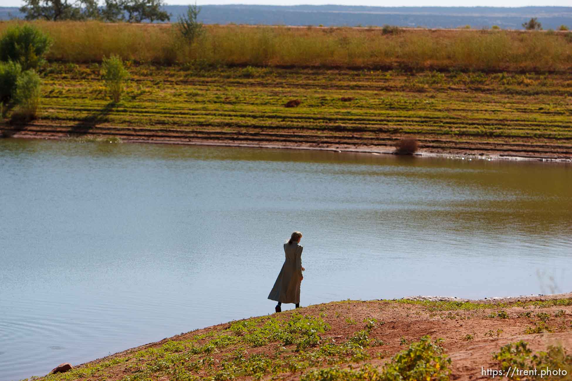 Canon EOS-1D Mark II N