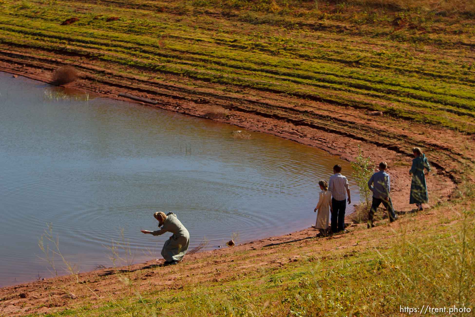 Canon EOS-1D Mark II N