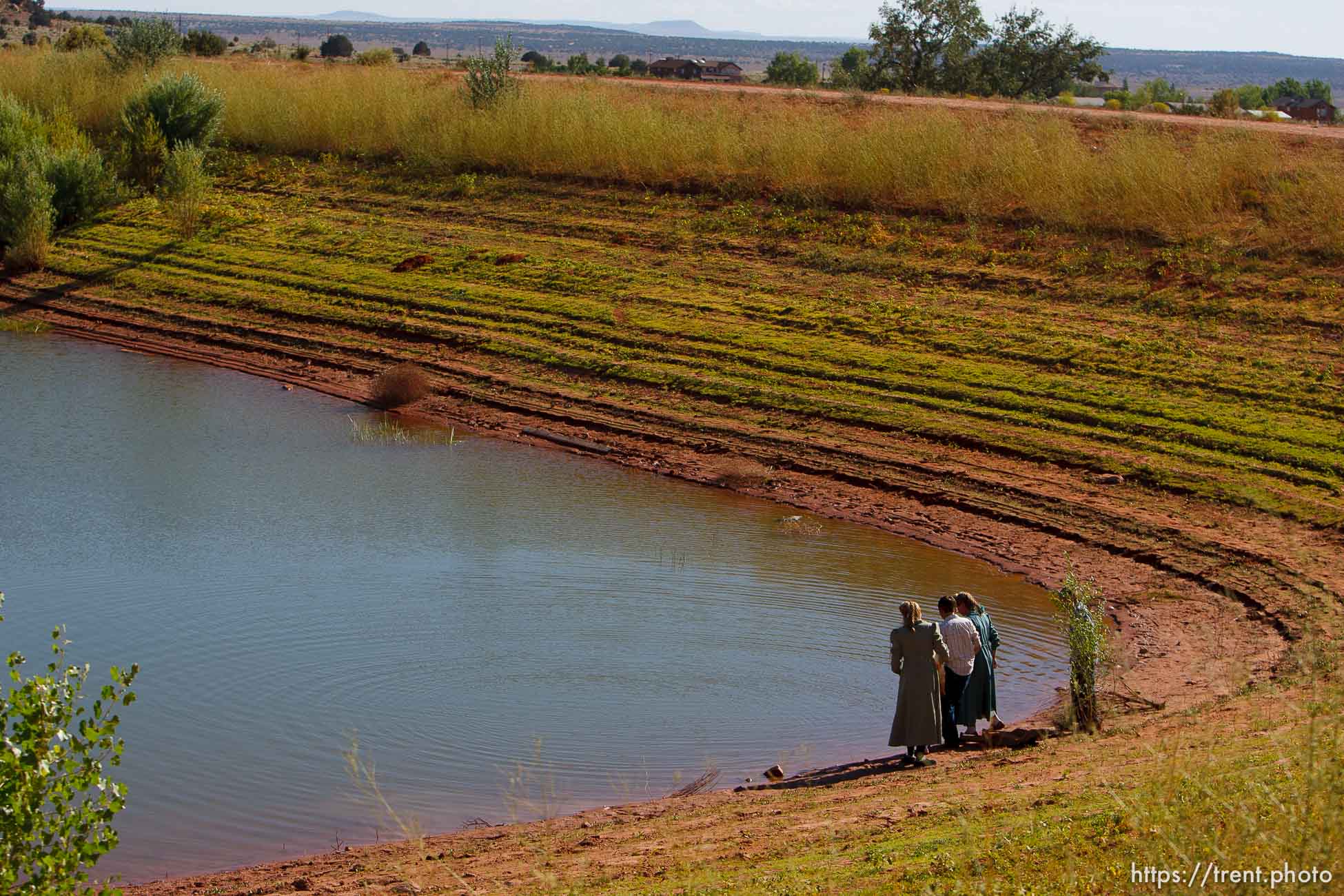 Polygamy in the American West