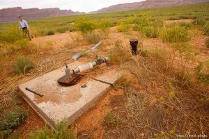 Centennial Park -, Wednesday August 12, 2009. Alma Cawley, district manager of the Centennial Park Domestic Water District.
