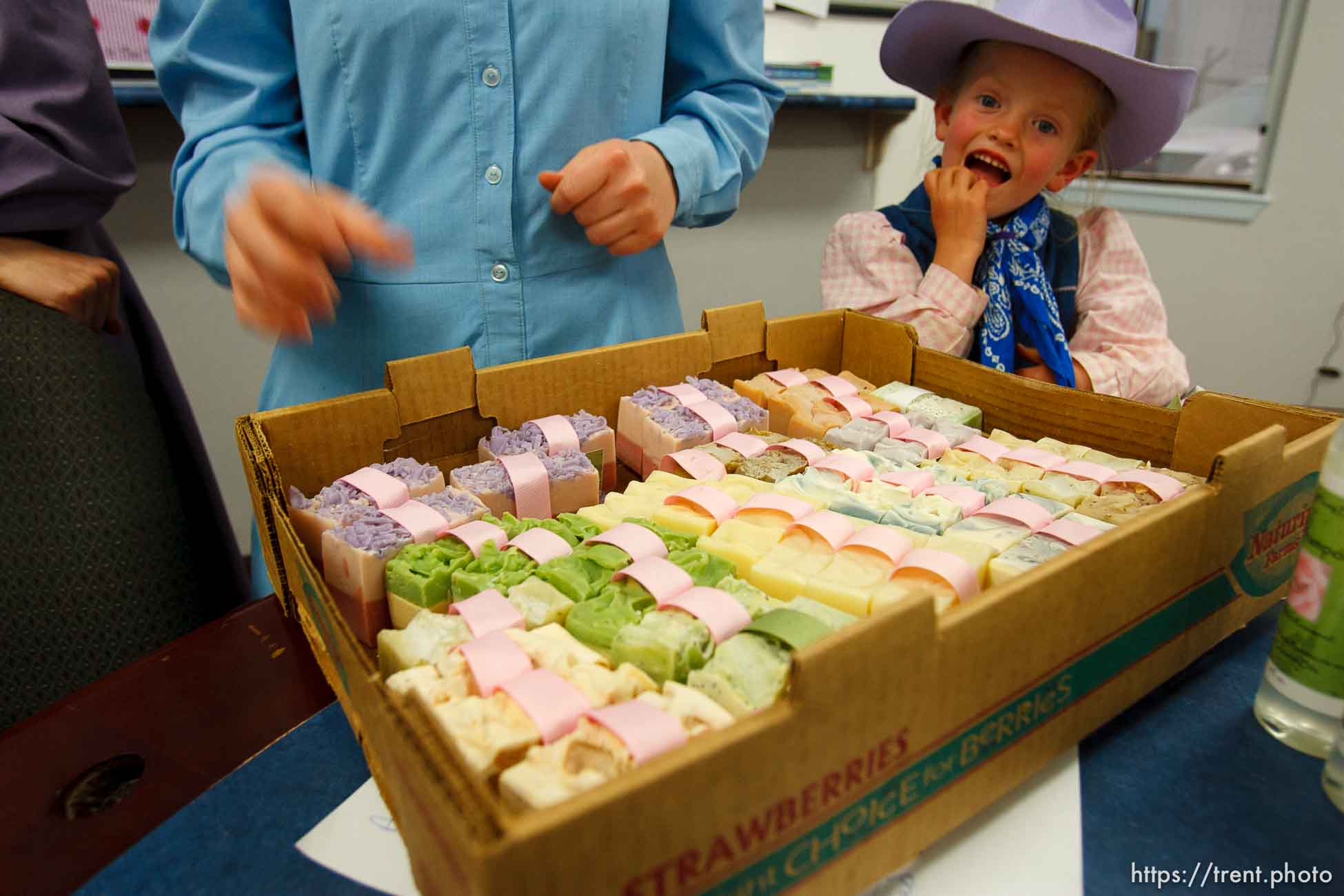 Polygamy in the American West