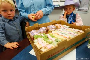 Hildale -, Wednesday August 12, 2009.
Dianna Peine and Roxanne Johnson sell their handmade soaps under the label 