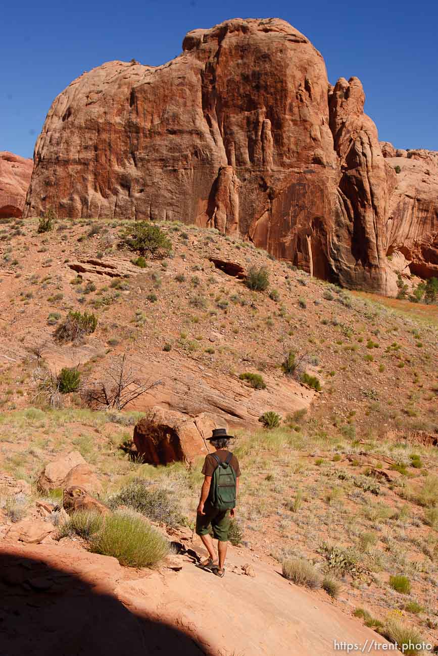 Canon EOS-1D Mark II N