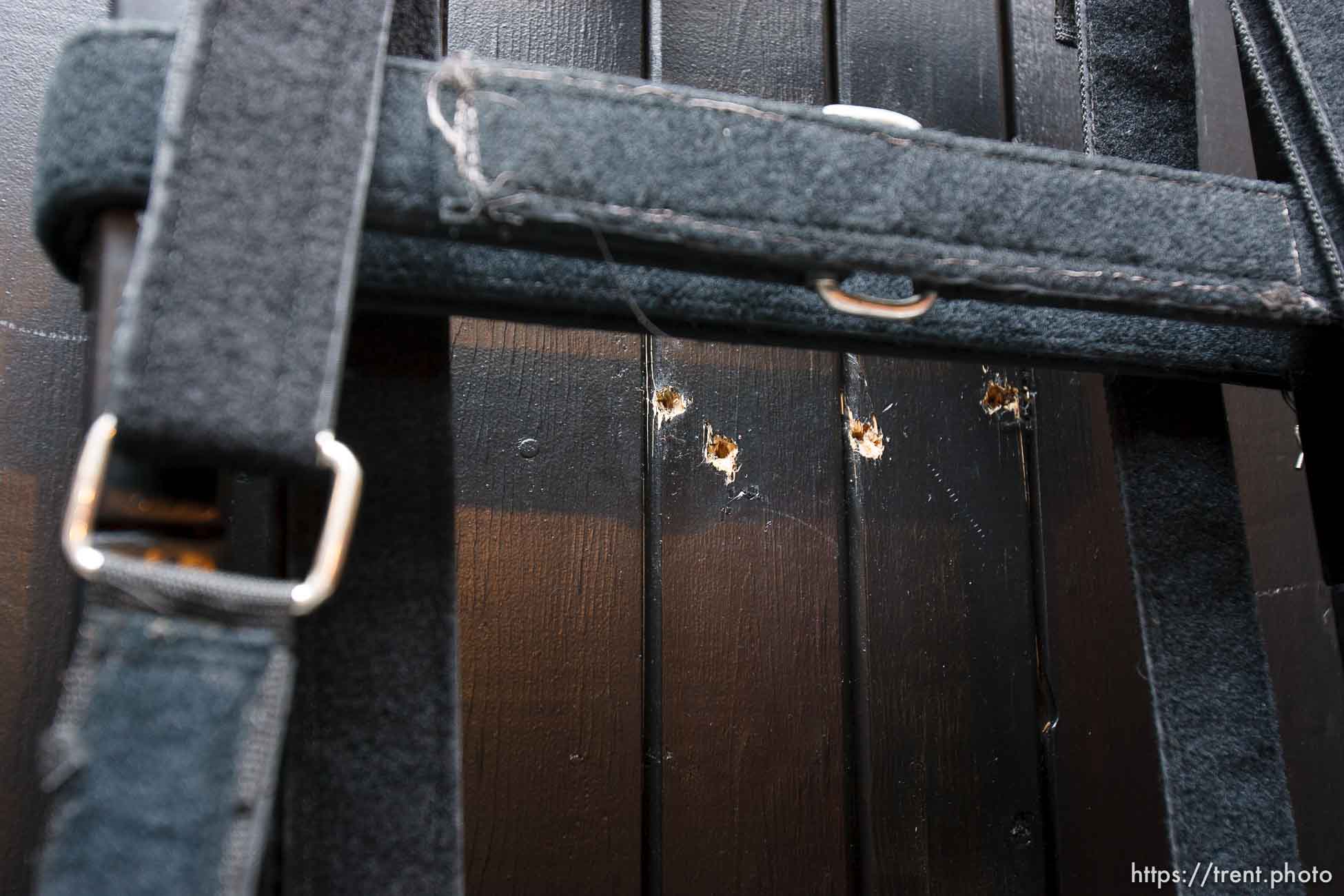 Canon EOS-1D Mark II N