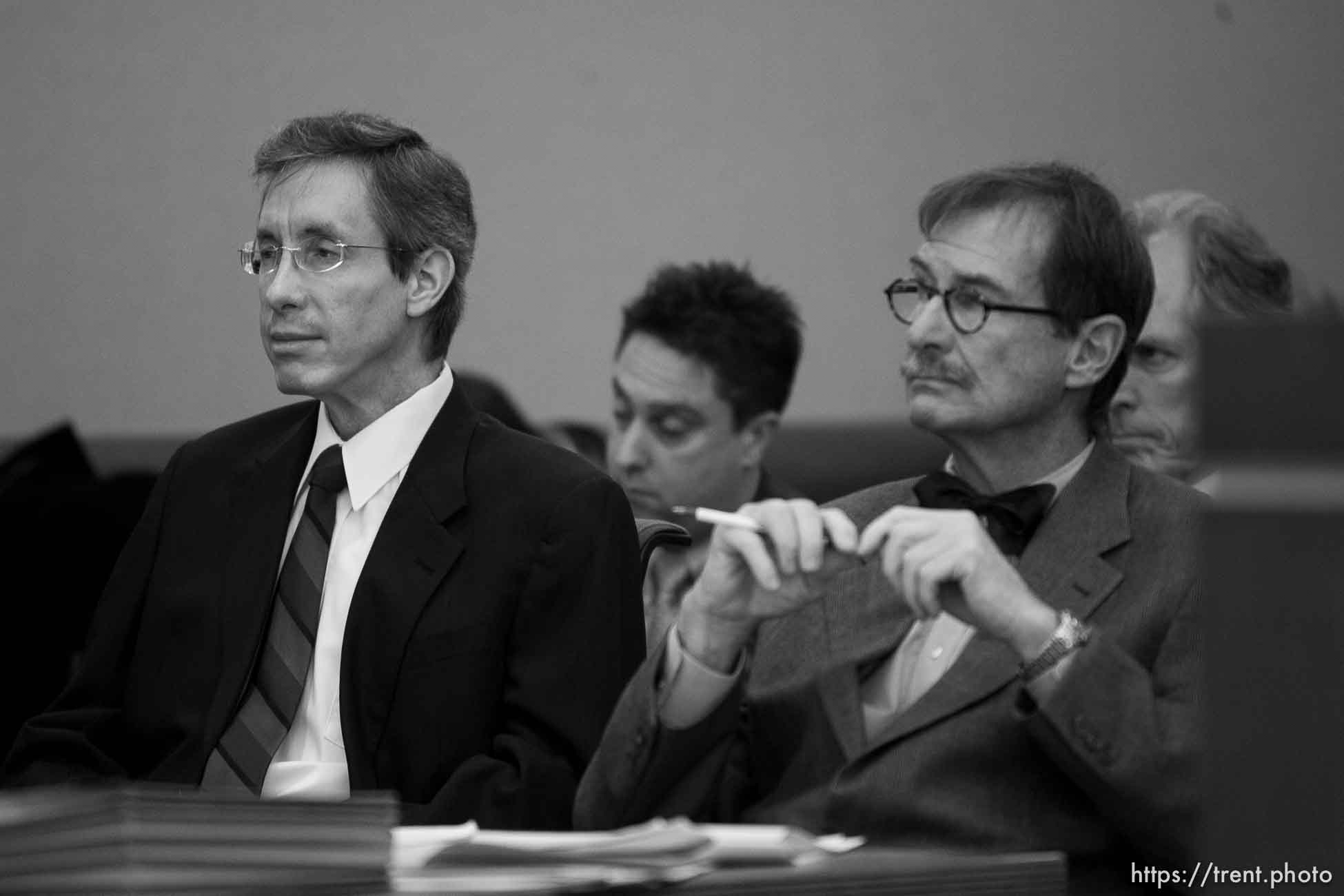 Polygamy in the American West