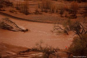 Trent Nelson  |  The Salt Lake TribuneAlong the Santa Clara River. Aerial views of flooding in St. George and Santa Clara, Wednesday, December 22, 2010.
