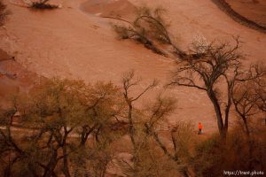 Trent Nelson  |  The Salt Lake TribuneAlong the Santa Clara River. Aerial views of flooding in St. George and Santa Clara, Wednesday, December 22, 2010.