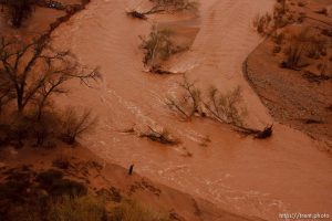 Trent Nelson  |  The Salt Lake TribuneAlong the Santa Clara River. Aerial views of flooding in St. George and Santa Clara, Wednesday, December 22, 2010.