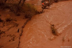 Trent Nelson  |  The Salt Lake TribuneAlong the Santa Clara River. Aerial views of flooding in St. George and Santa Clara, Wednesday, December 22, 2010.
