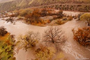 Trent Nelson  |  The Salt Lake Tribune Beaver Dam Wash in Motoqua, Utah, Wednesday, December 22, 2010.