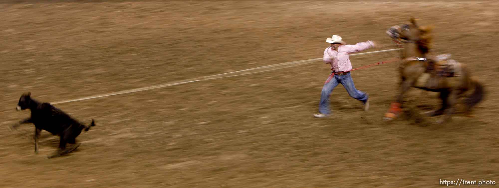 Canon EOS-1D Mark II N