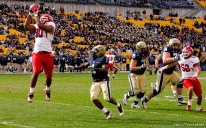Trent Nelson  |  The Salt Lake Tribune Utah's Derrick Shelby pulls down an interception and dives into the end zone for a second half touchdown. Utah vs. Pitt, college football at Heinz Field Stadium in Pittsburgh, Pennsylvania, Saturday, October 15, 2011.