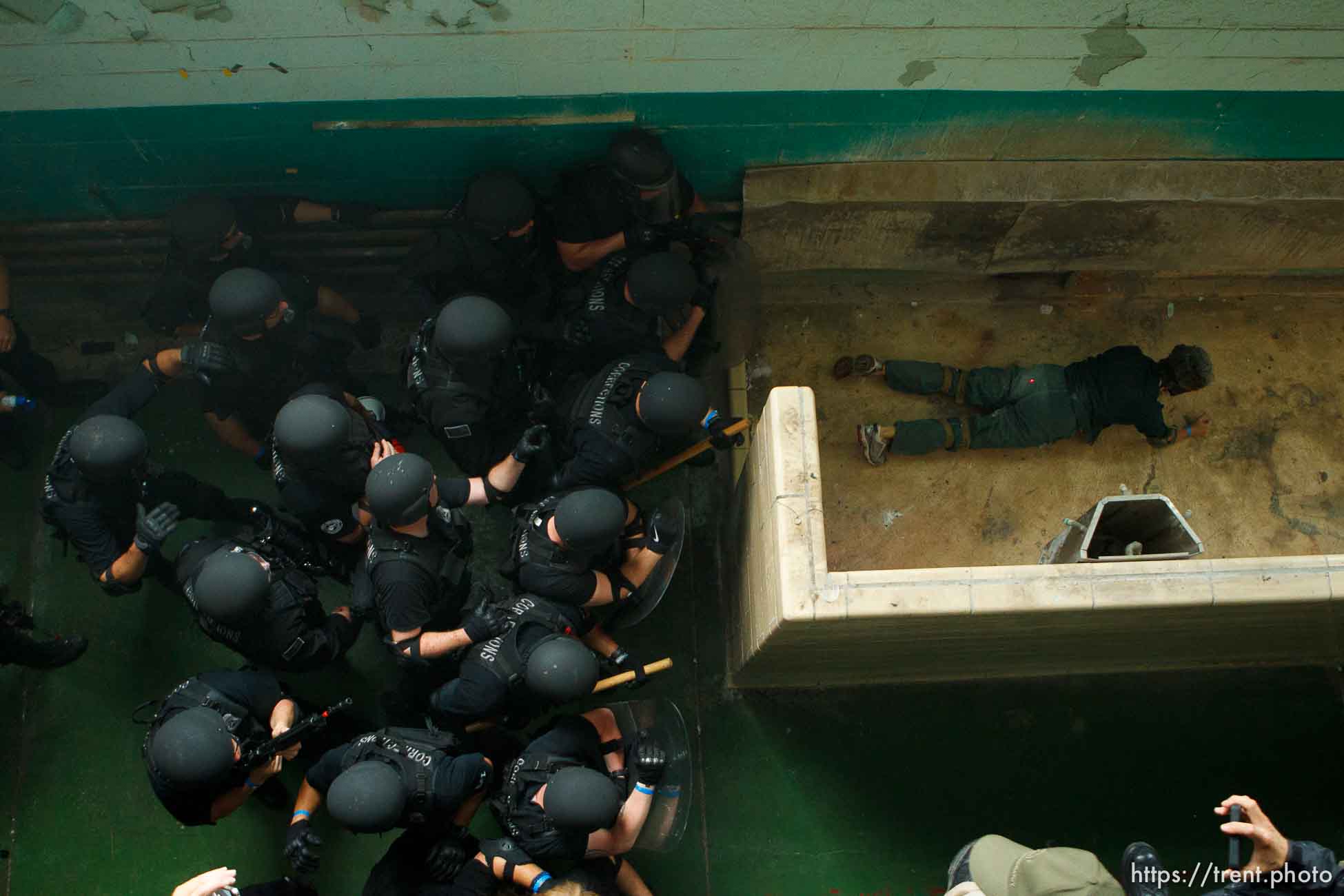 Canon EOS-1D Mark II N