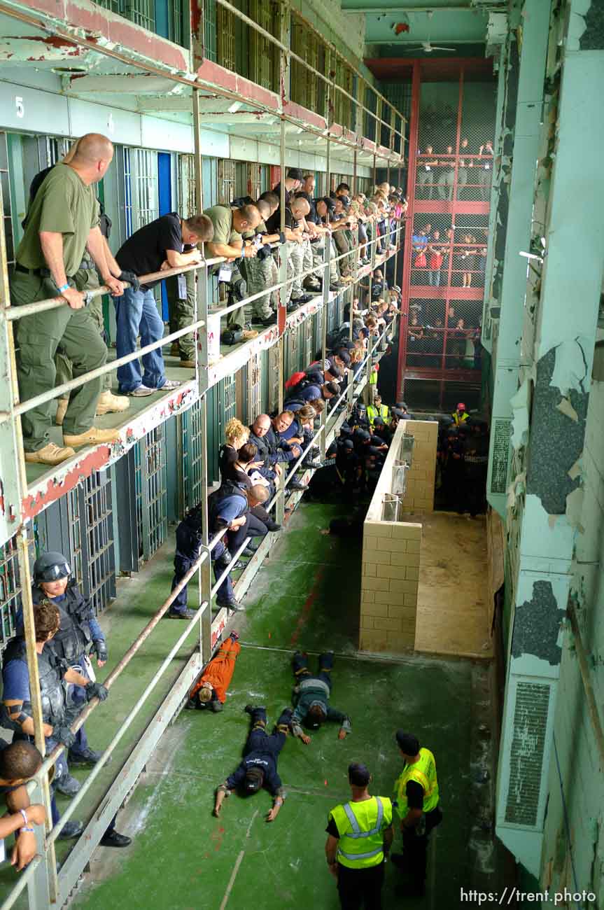 Canon EOS-1D Mark II N