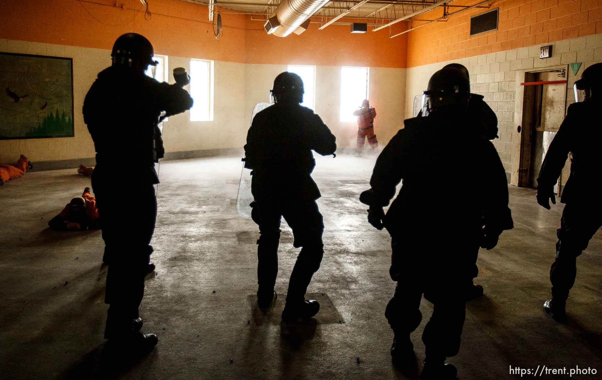 Canon EOS-1D Mark IV