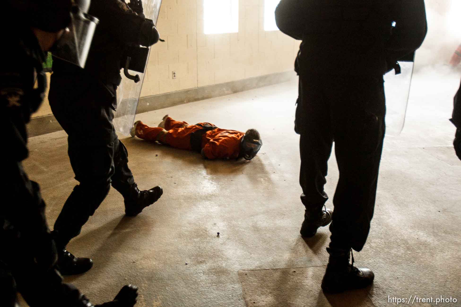 Canon EOS-1D Mark II N