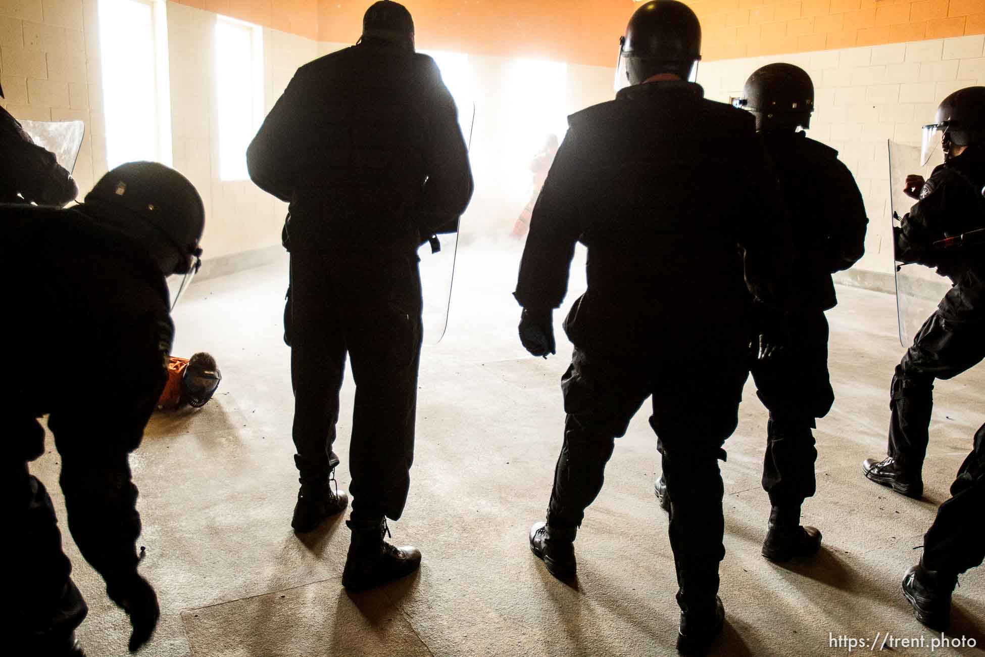 Canon EOS-1D Mark IV