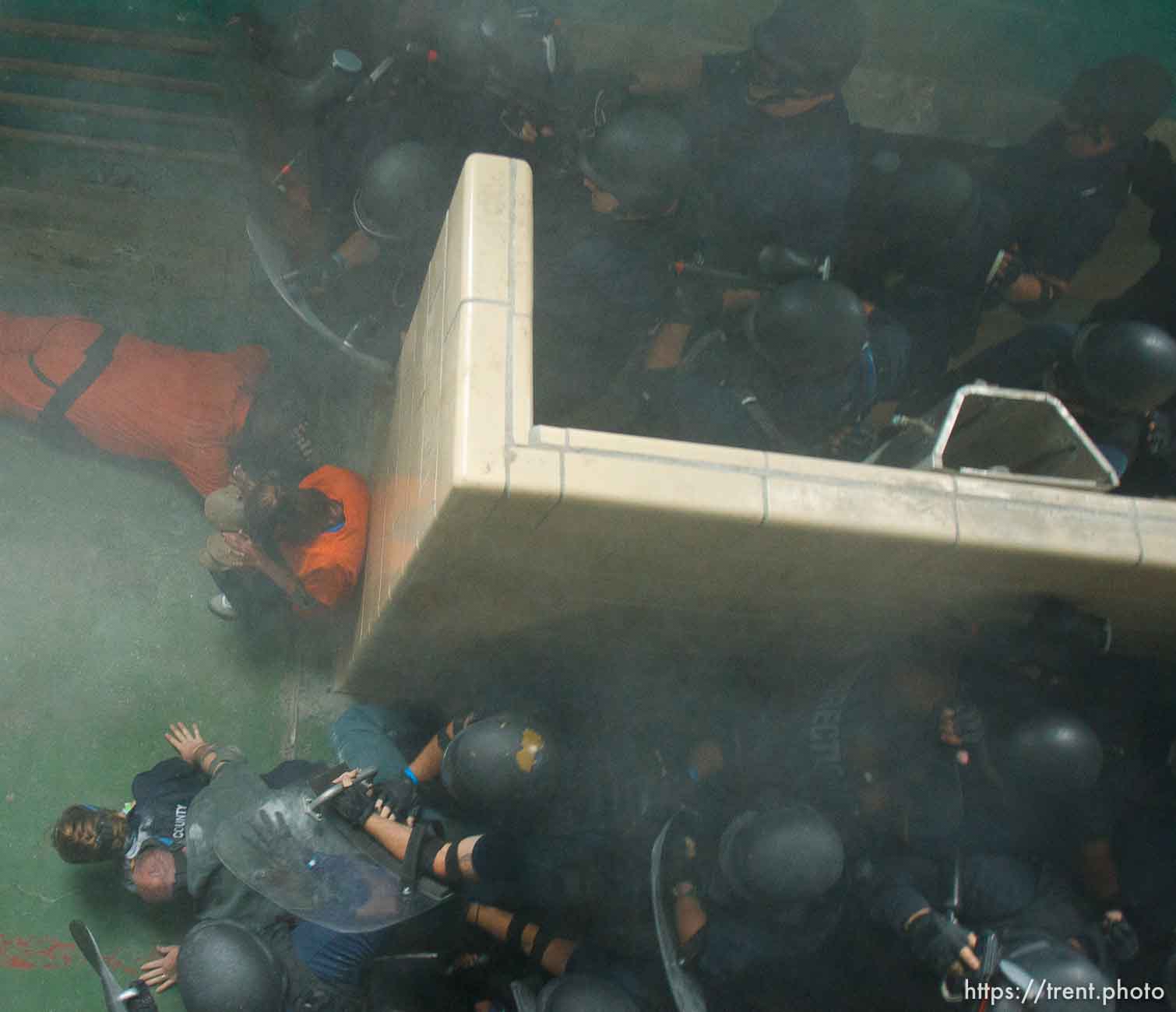 Canon EOS-1D Mark IV