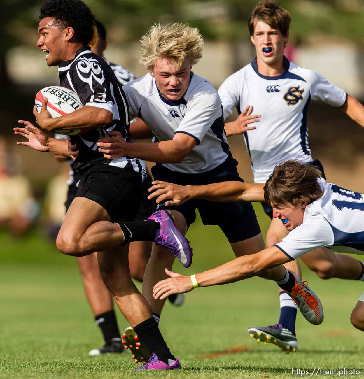 Canon EOS-1D Mark IV