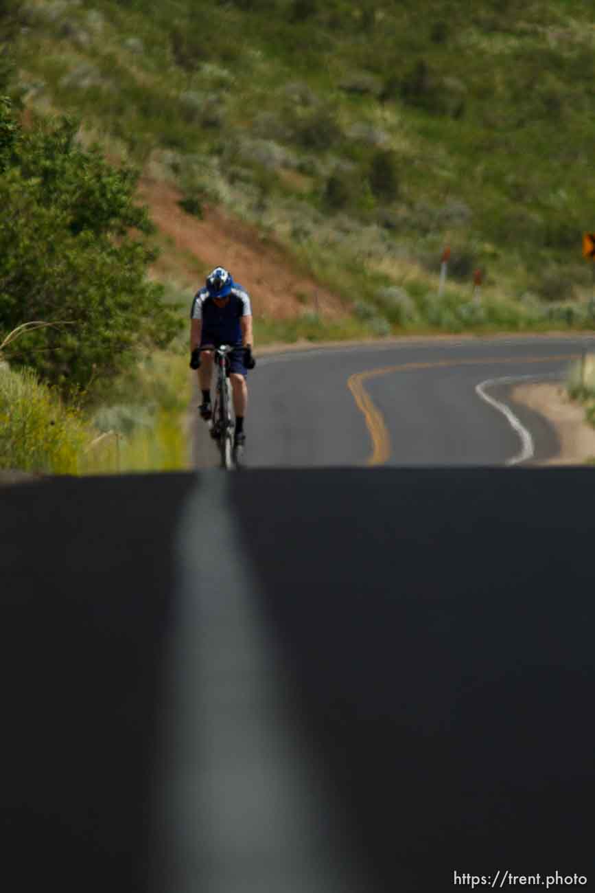 Canon EOS-1D Mark II N