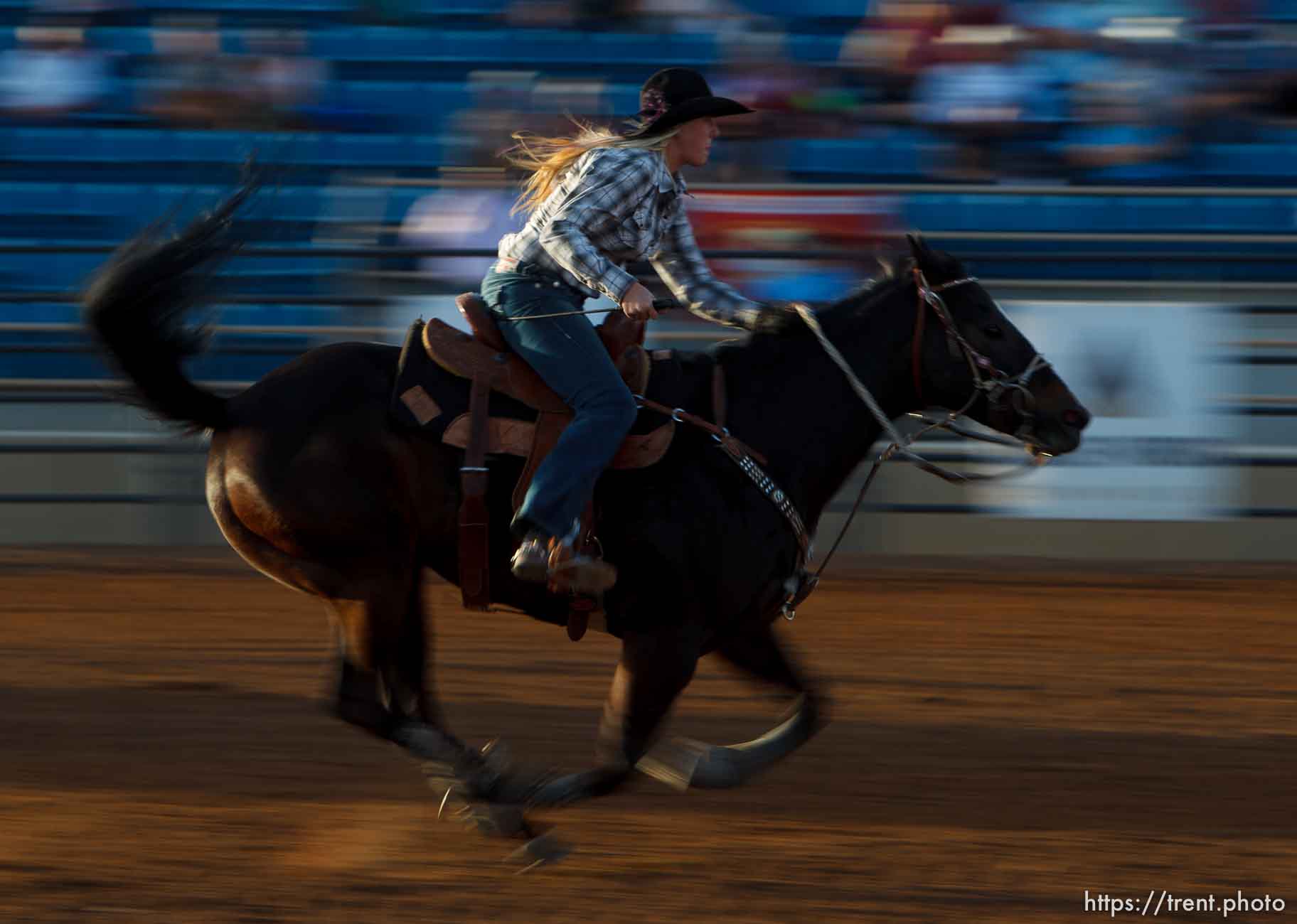 Canon EOS-1D Mark II N