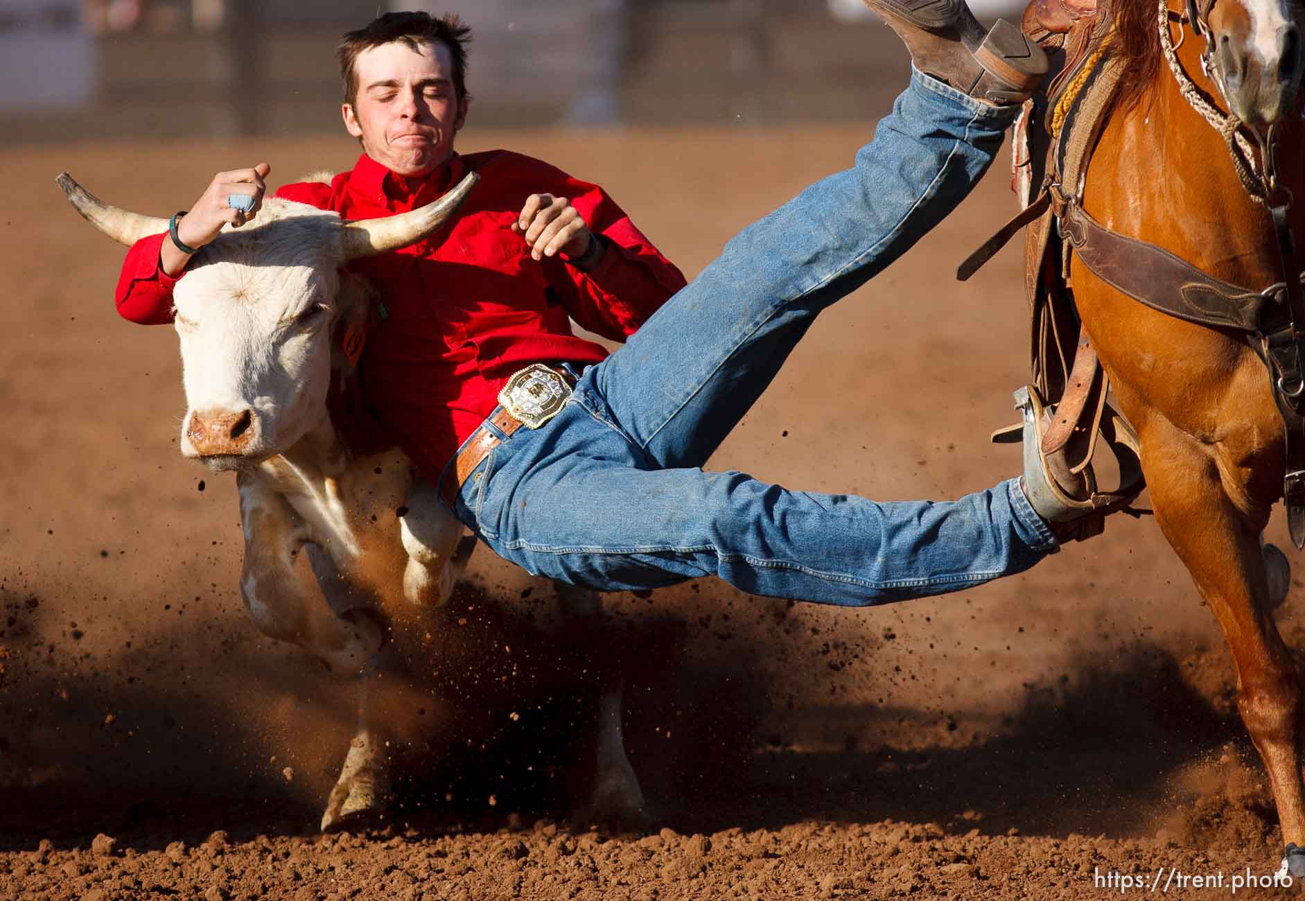 Canon EOS-1D Mark II N