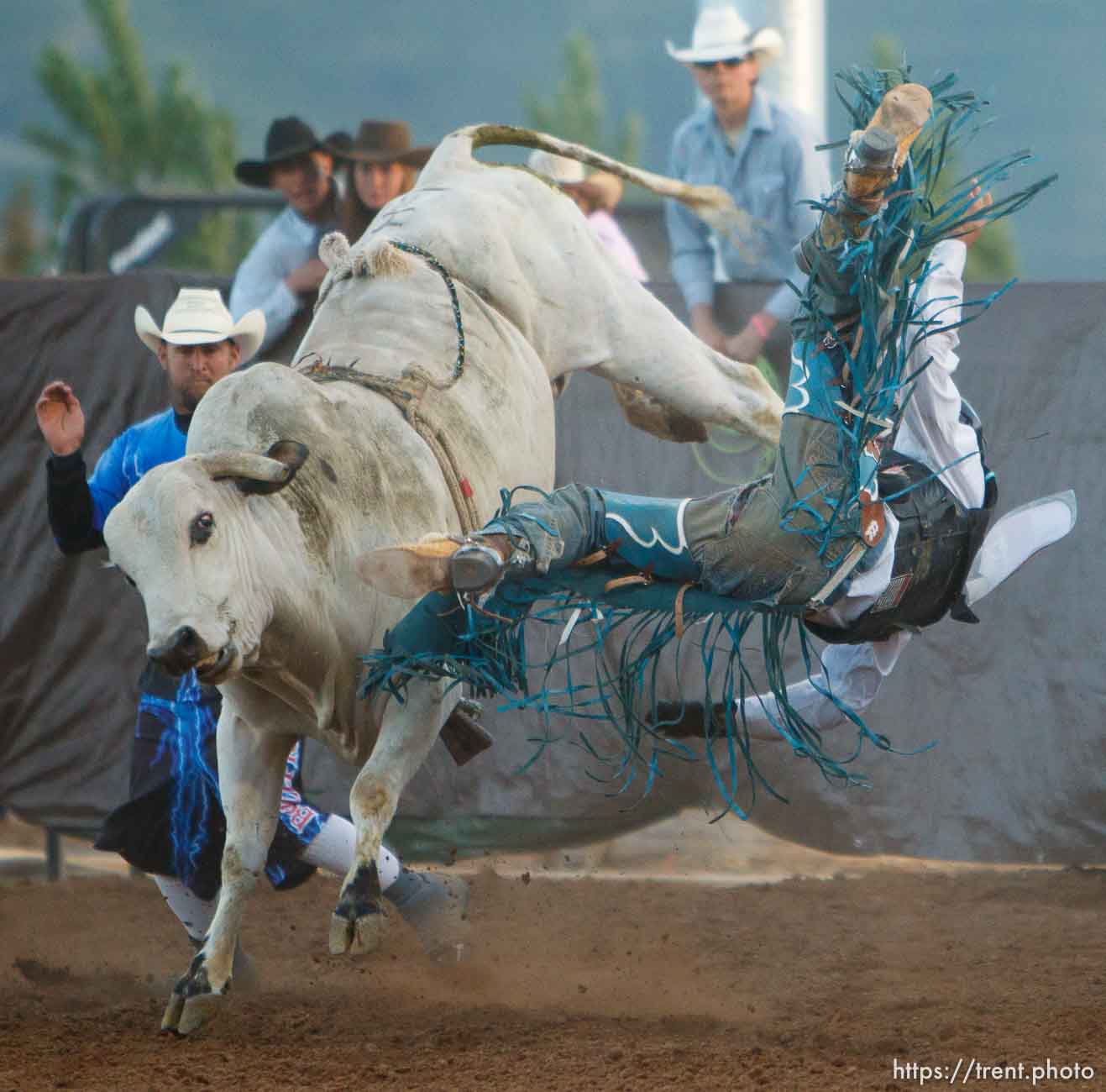 Canon EOS-1D Mark II N