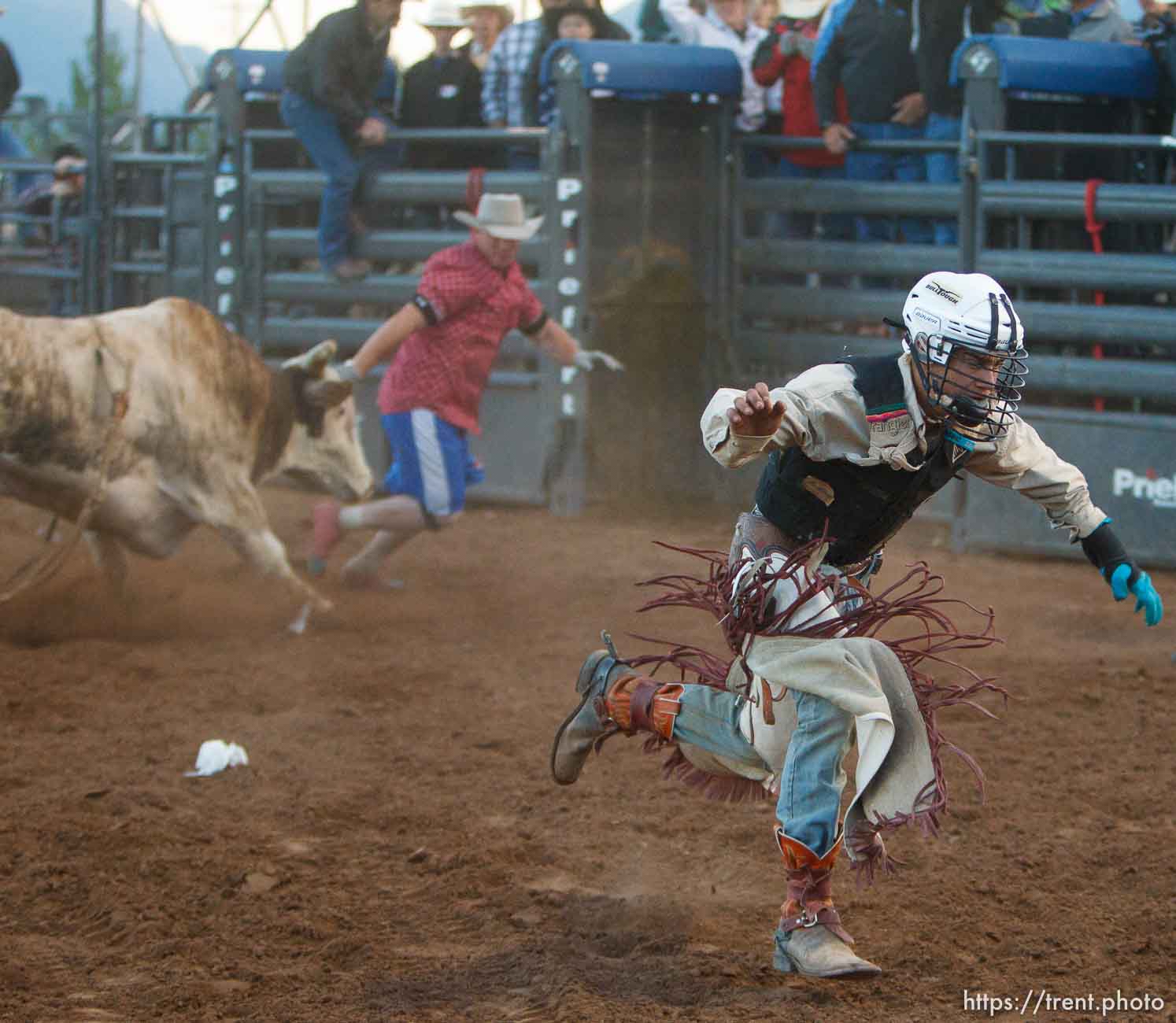 Bull Riding