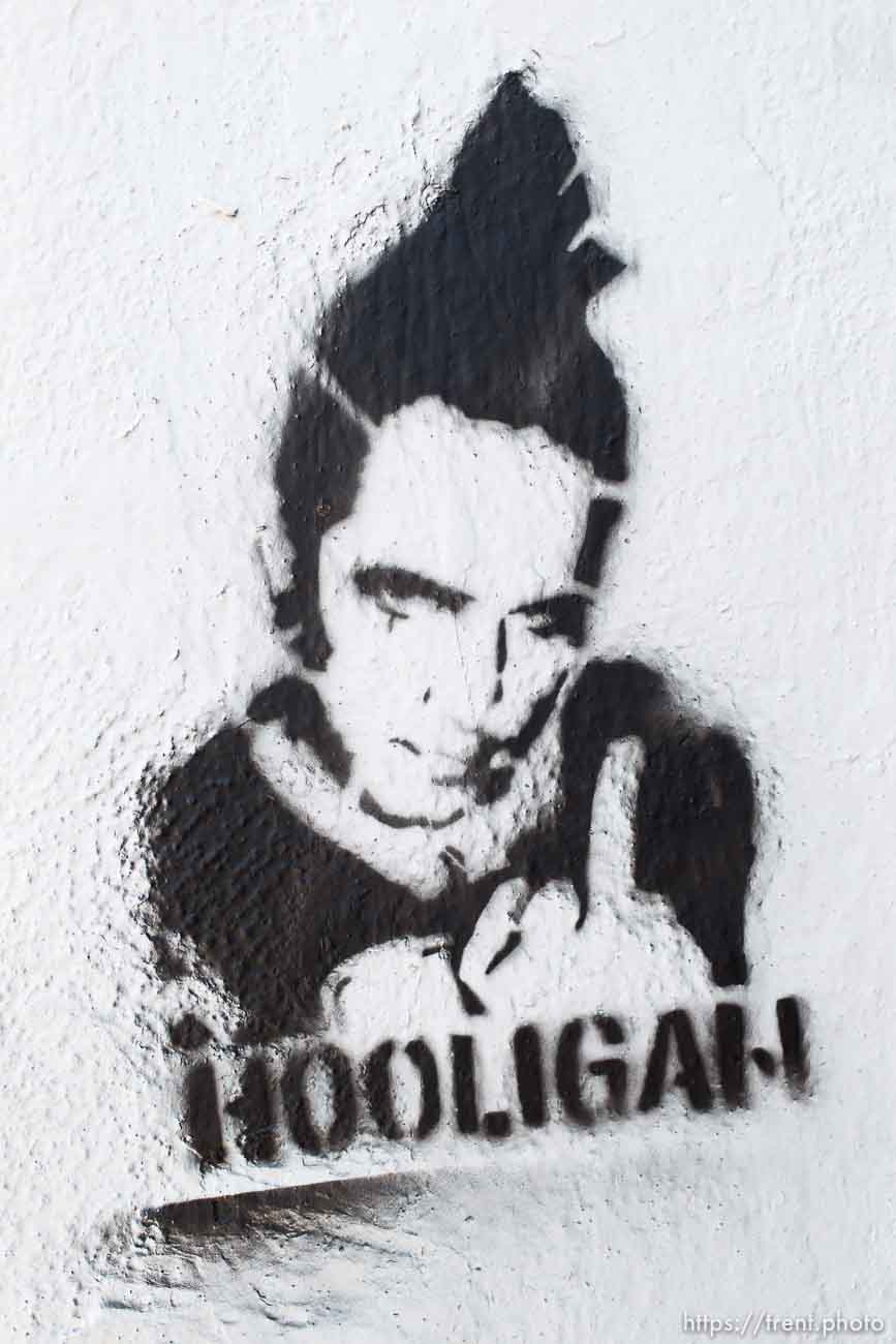 Canon EOS-1D Mark IV