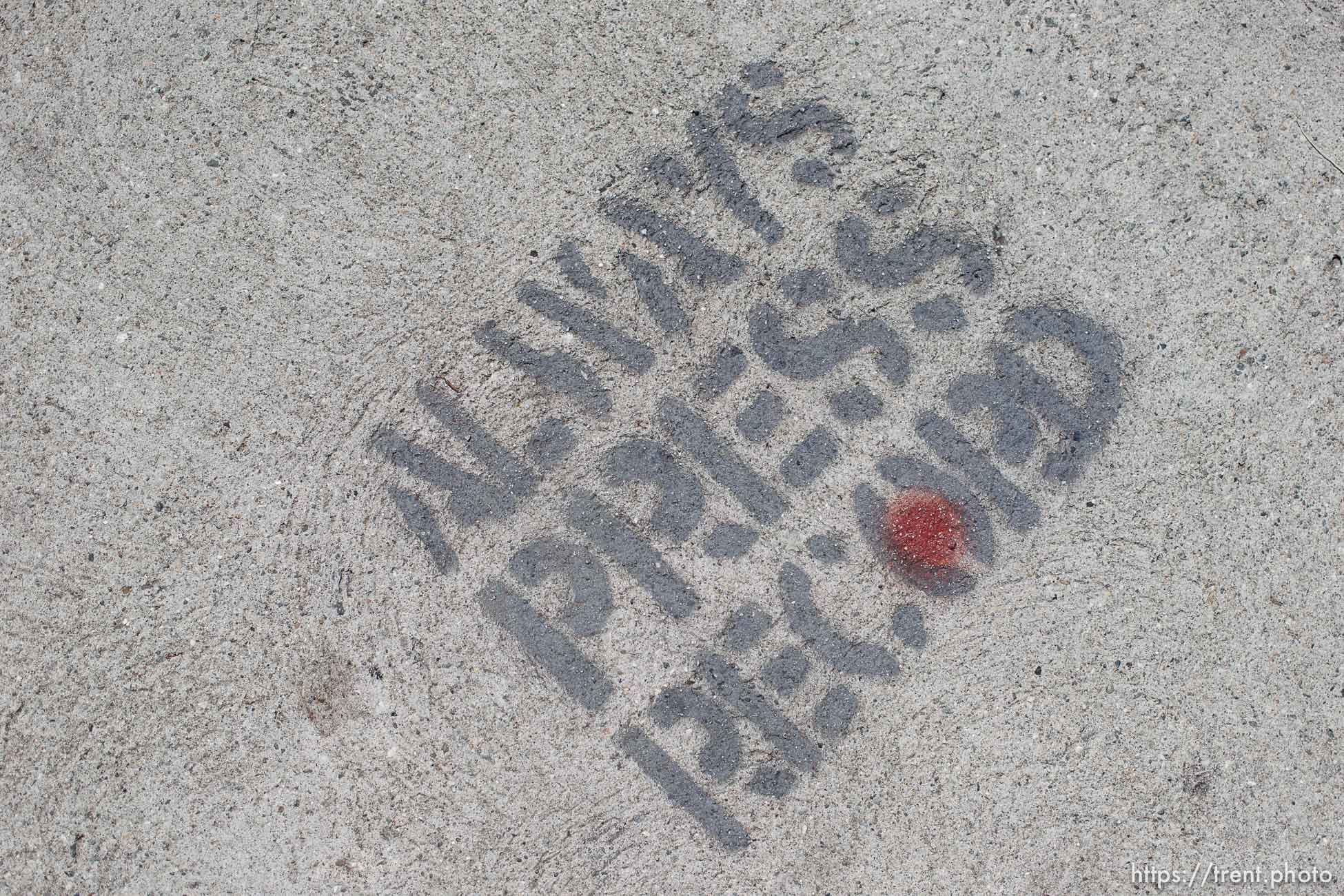 Canon EOS-1D Mark IV