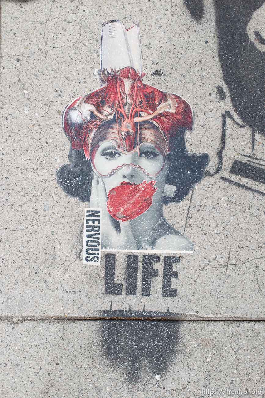 Canon EOS-1D Mark IV