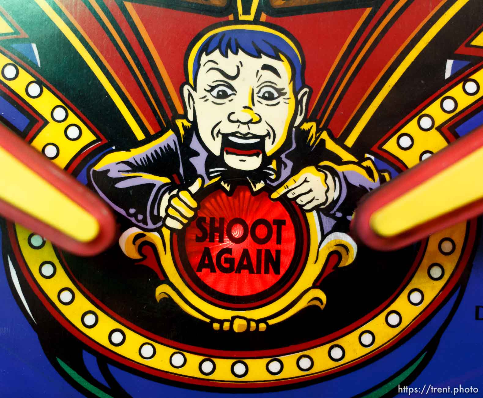 Canon EOS-1D Mark IV