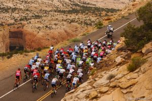 Trent Nelson  |  The Salt Lake Tribune The peloton between Escalante and Boulder, during stage two of the Tour of Utah Wednesday August 7, 2013.