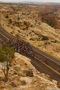 Trent Nelson  |  The Salt Lake Tribune The peloton climbs toward Boulder during stage two of the Tour of Utah Wednesday August 7, 2013.