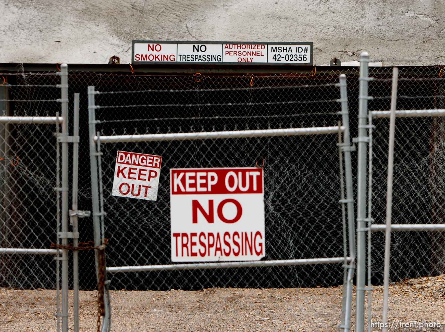 Canon EOS-1D Mark IV