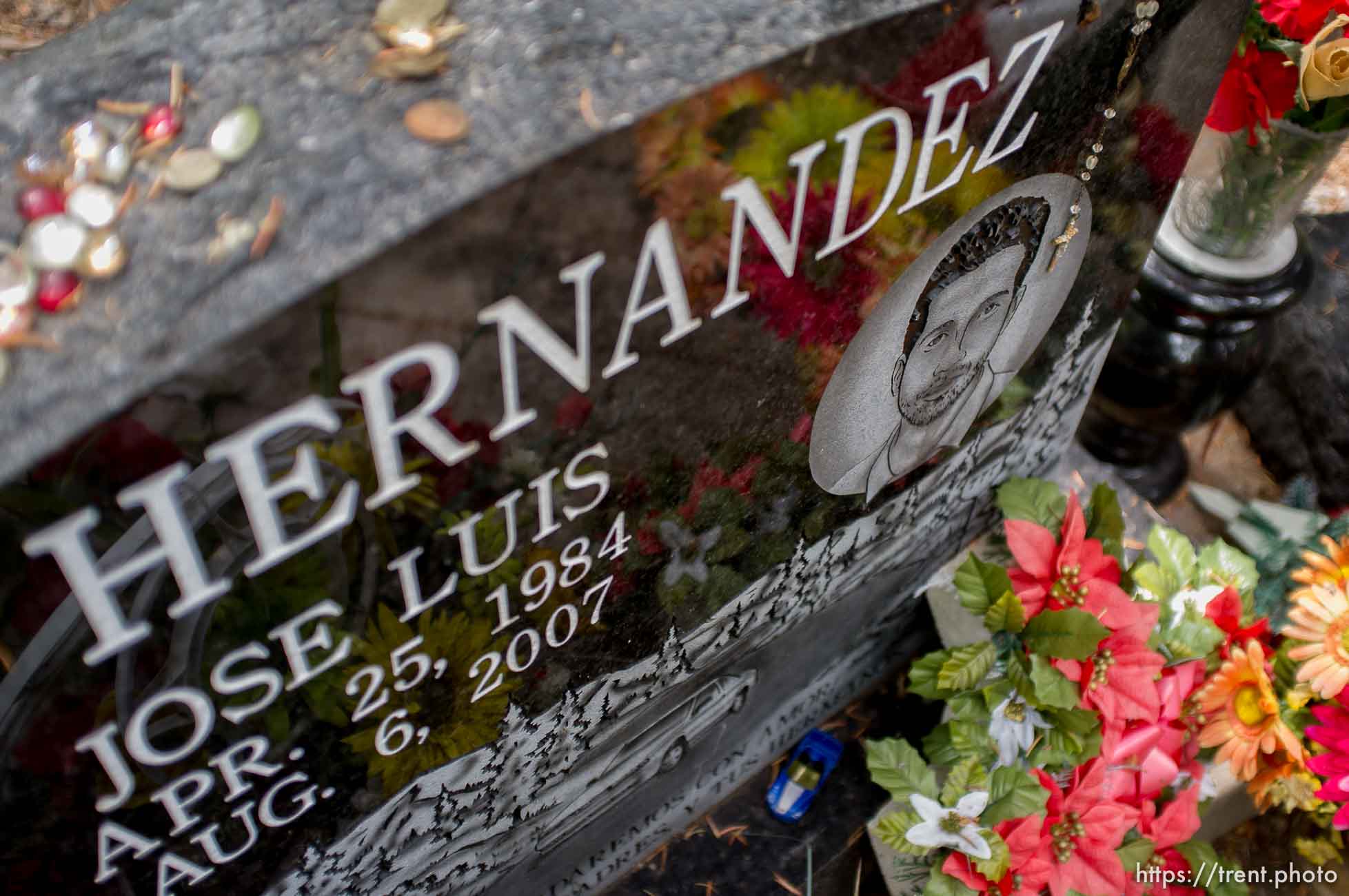 Canon EOS-1D Mark IV